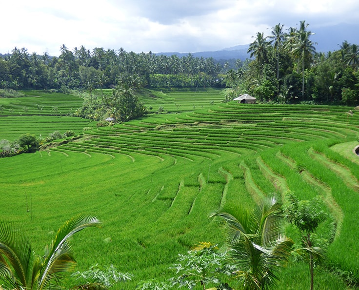 10 bonnes raisons de voyager avec Shanti Travel en Indonésie